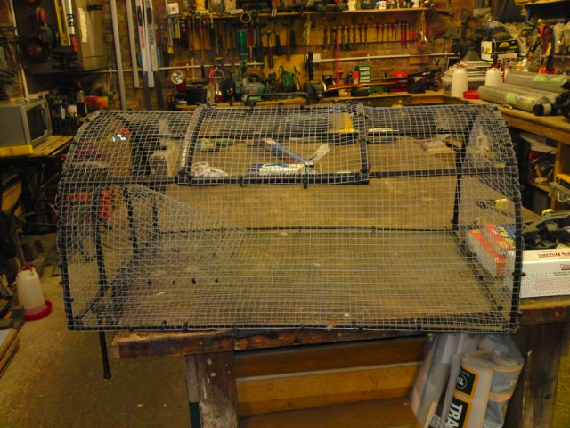 Home made pigeon trap : Hunting Dog Forum