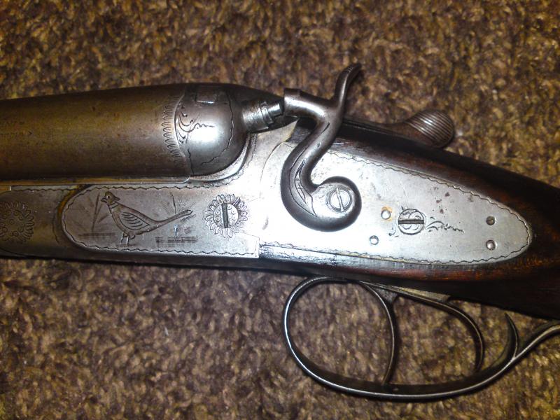 Hammer Shotgun For Sale - Guns For Sale (private Sales) - Pigeon Watch 