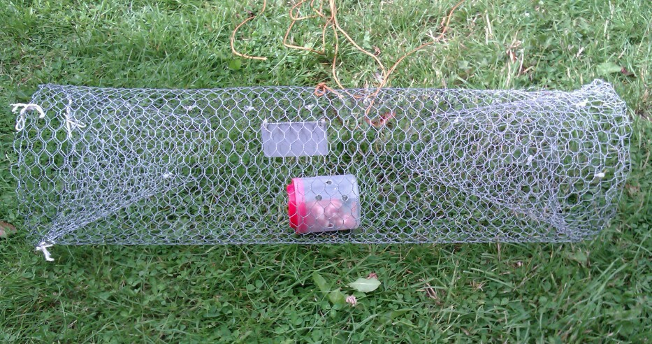 quick and easy crayfish trap - Craft and DIY Section - Pigeon