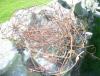 WIRE NEST 1.jpg