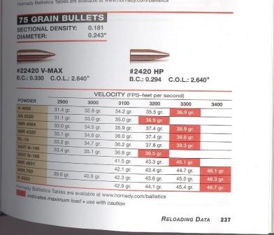 .243 v-max 75gr - Bullets, Cartridges and Reloading - Pigeon Watch Forums