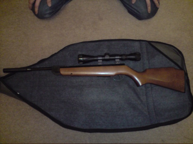 webley excel.22 in good condition - Guns for Sale (Private Sales ...