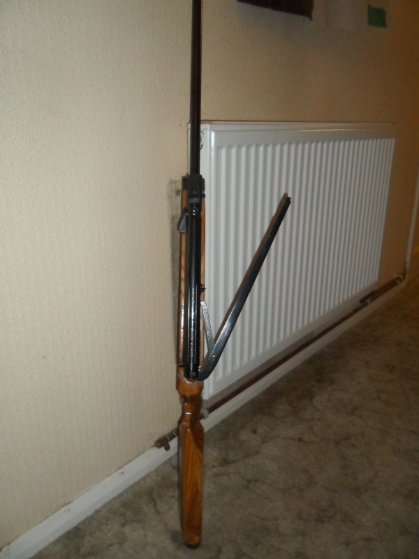 Webley Osprey .177 with Custom Stock - Guns for Sale (Private Sales) -  Pigeon Watch Forums