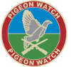 Pigeon Watch Forums