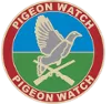 Pigeon Watch Forums