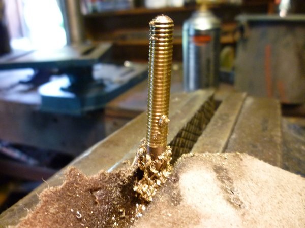 bronze screws 001tn_.JPG