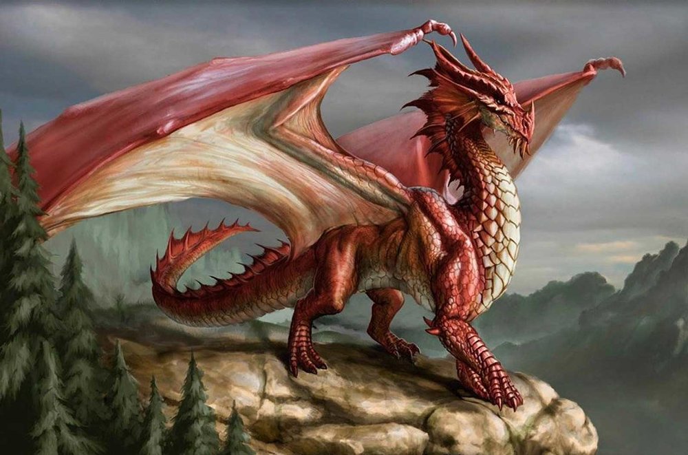 Welsh-Dragon-FEAT.jpg