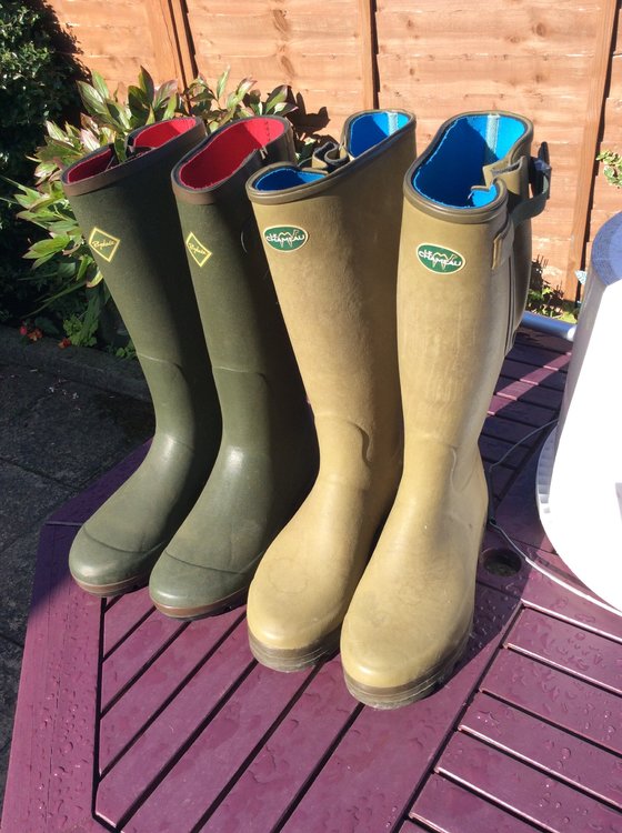 Le chameau wellies - Other Sales - Pigeon Watch Forums