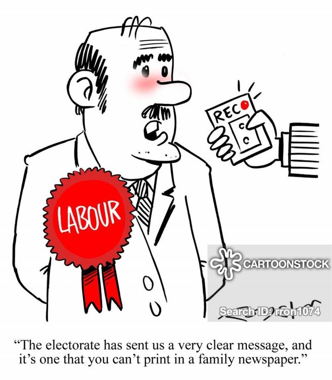 media-labour-political_party-election-euro_elections-by_election-rron1074_low.jpg