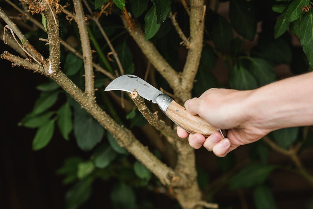 70100436-pruning-knife-(ls)-hi-res.jpg