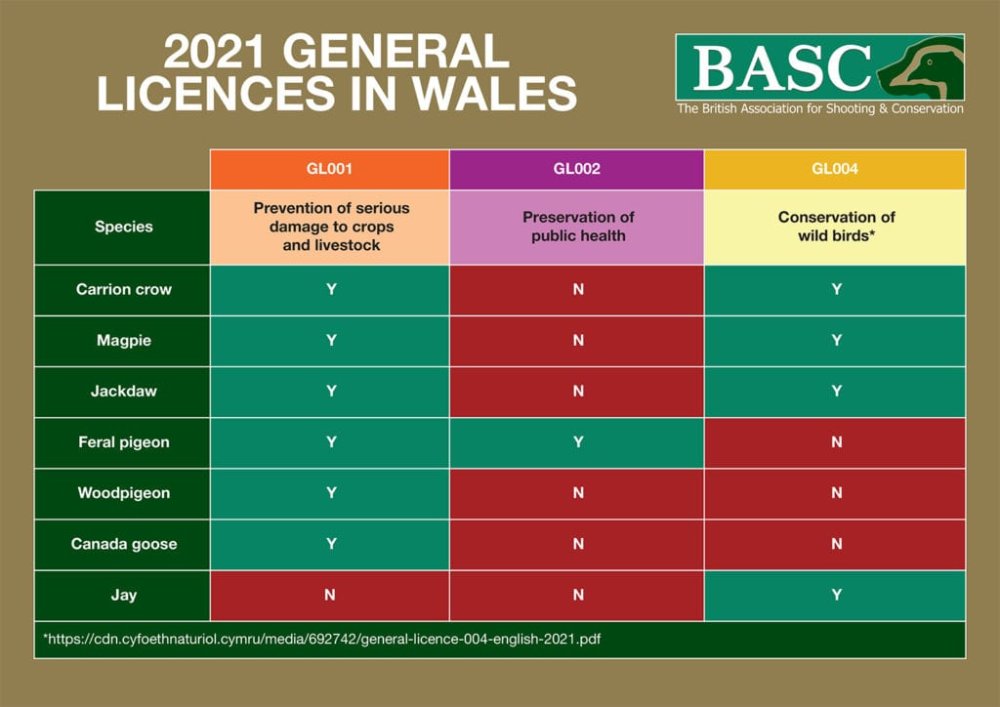 General-Licence-in-Wales-Table-1024x724.jpg.f2ee11bd0f3e2145338f17754a5fd644.jpg