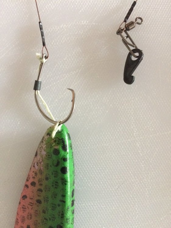 close up pike trace with circle hook.JPG