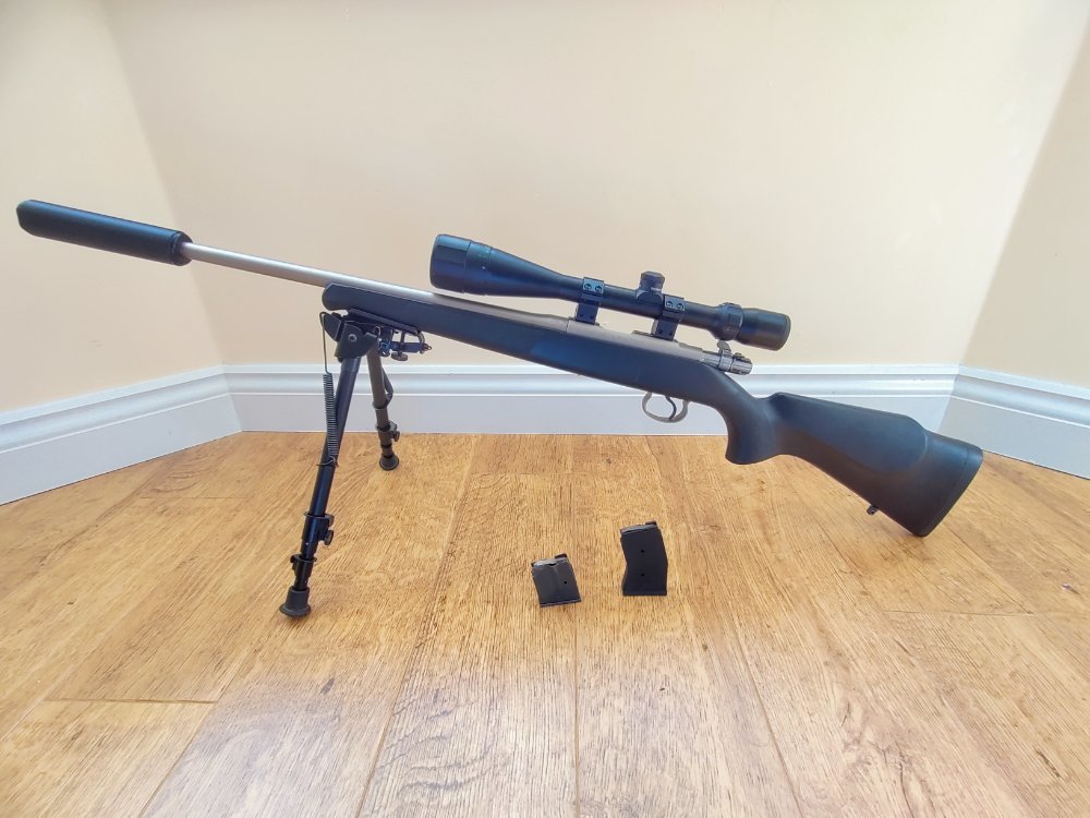 CZ452 17HMR.jpg