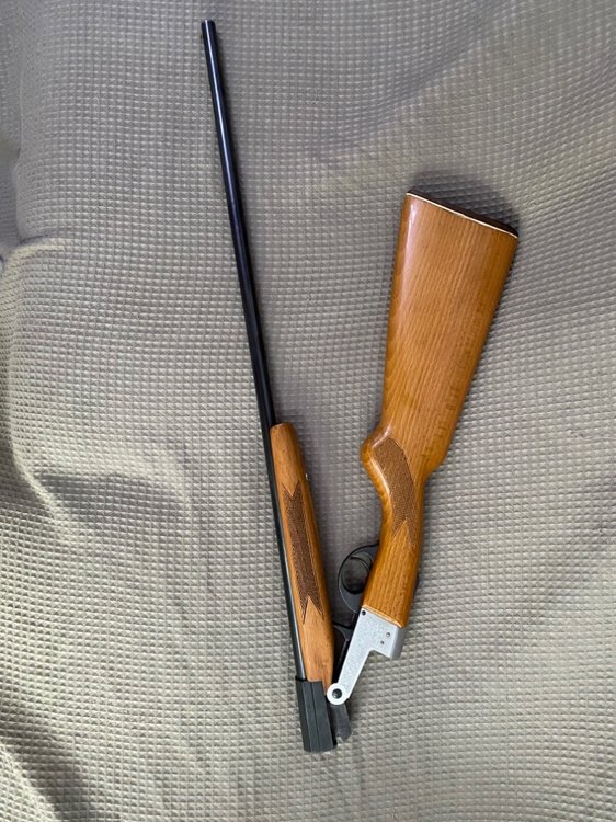 Bsa Single Shot  Single Barrel - Guns For Sale (private Sales) - Pigeon 