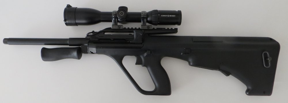 Steyr AUG full.JPG