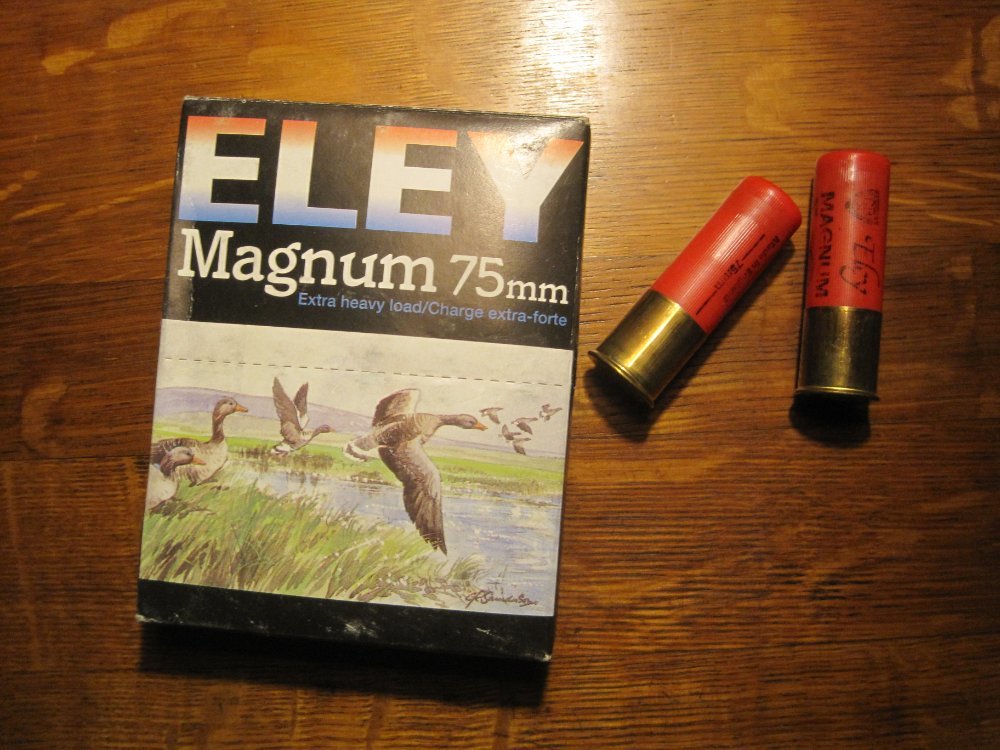 Eley magnum.JPG