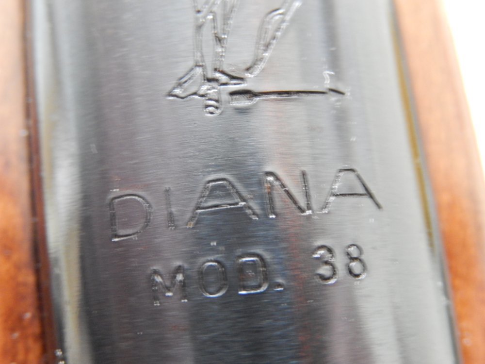 diana 38 003.JPG