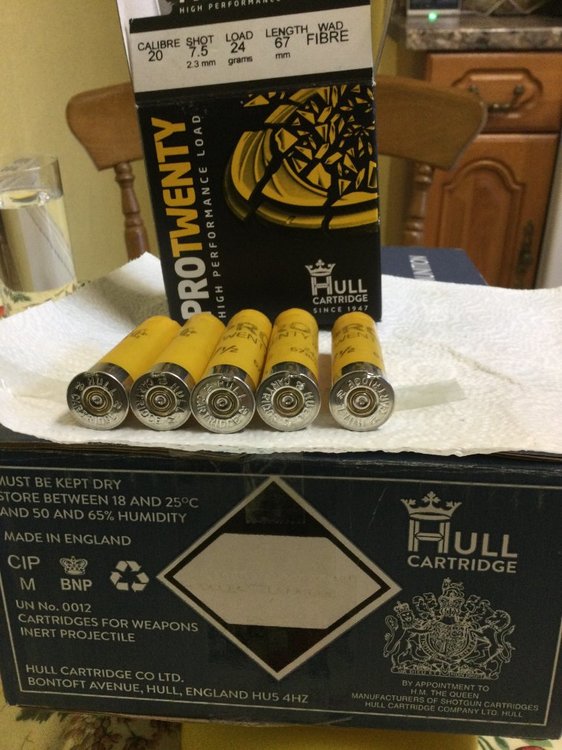 Hull cartridges.JPG