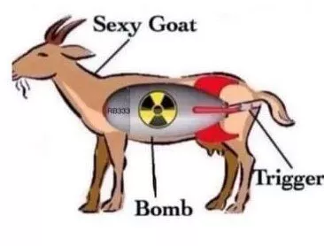 explosive goat 1.jpg