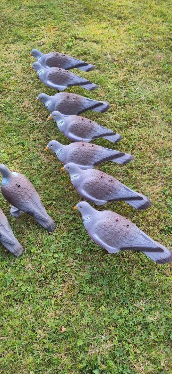 shell decoys.jpeg