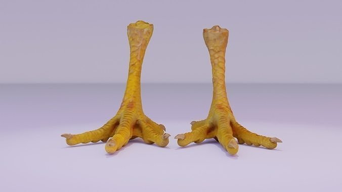 pair-chicken-feet-high-poly-3d-model-obj-fbx-stl-blend-ztl.jpg