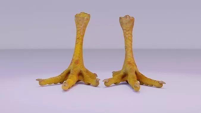 pair-chicken-feet-high-poly-3d-model-obj-fbx-stl-blend-ztl.jpg